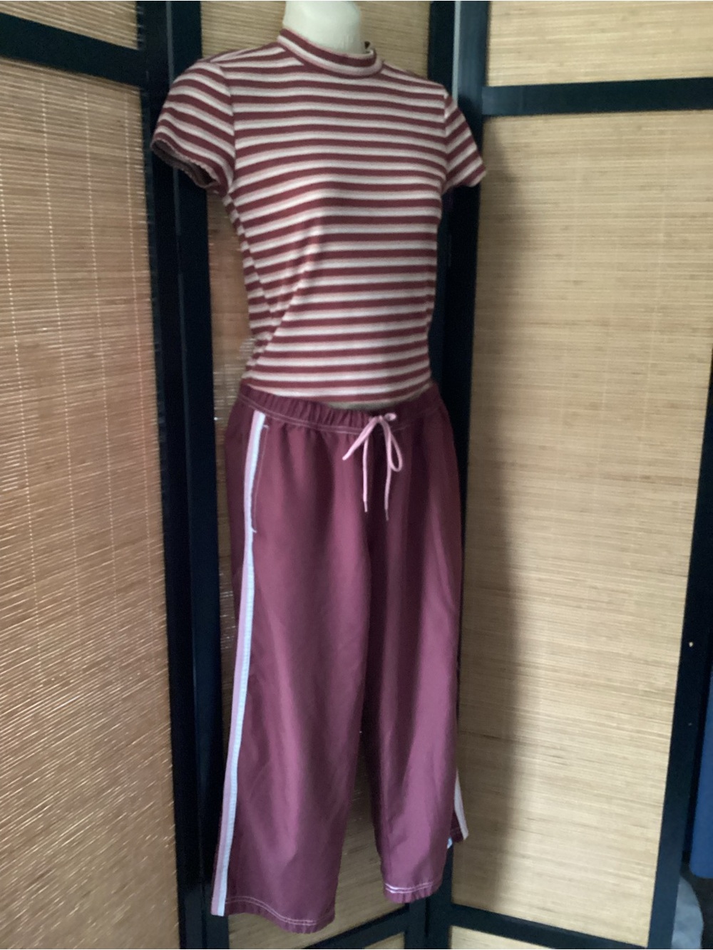 Pink Rose crop top striped shirt Sz S mock neck cap sleeve cropped EUC